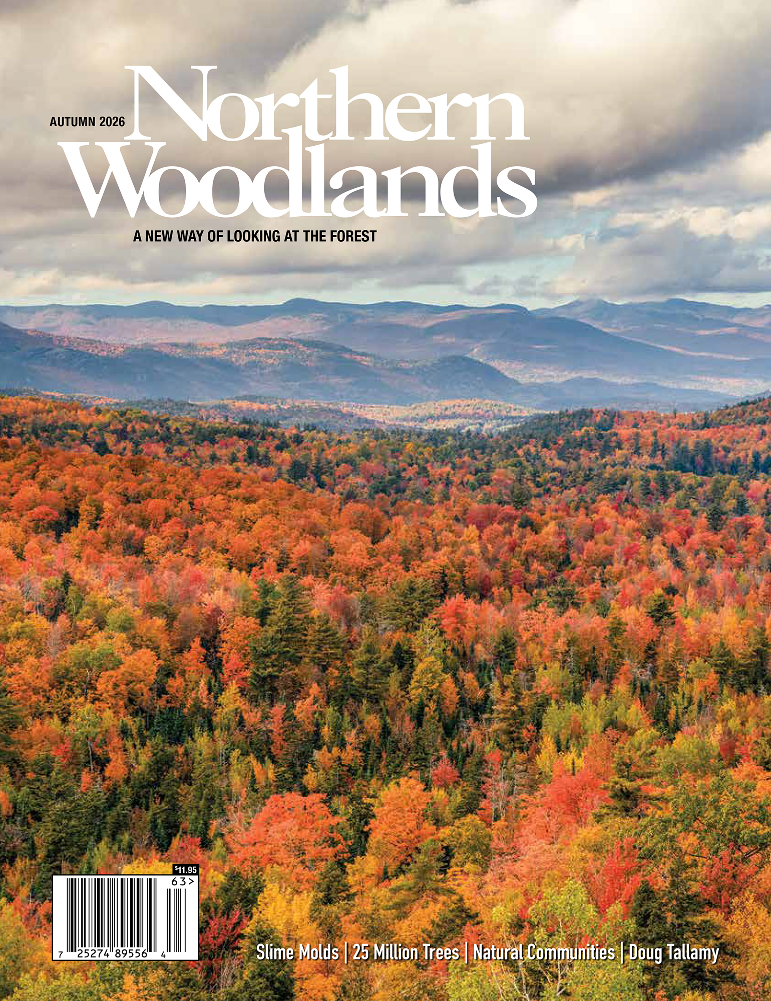 Northern Woodlands Cover Image
