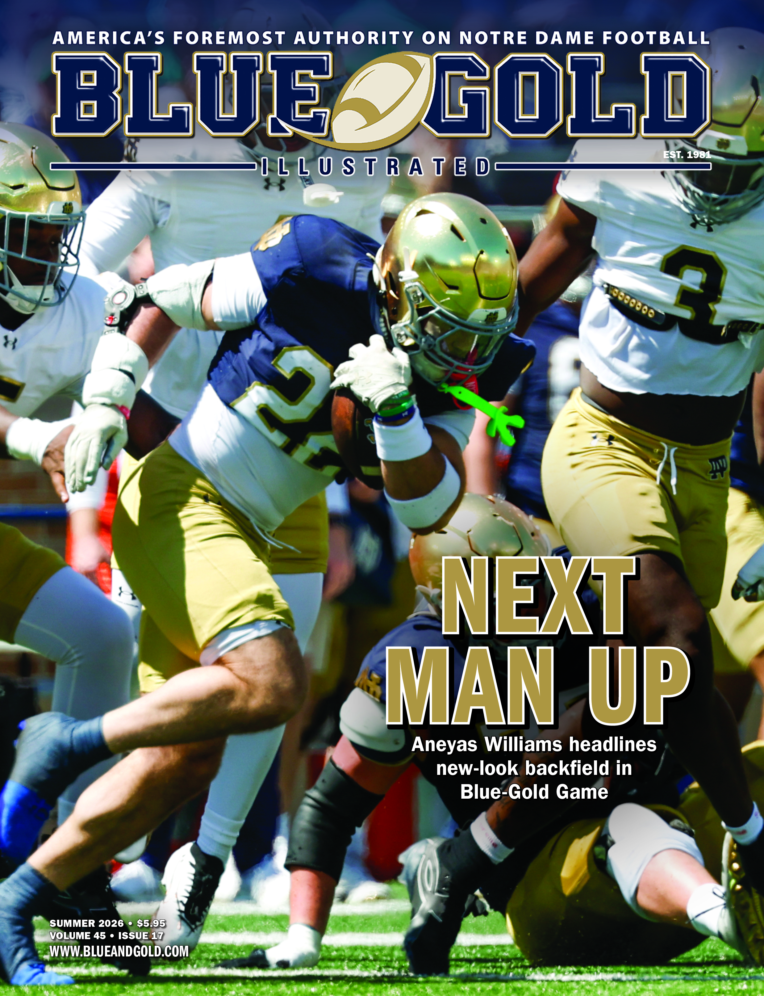 Blue & Gold Illustrated Cover Image