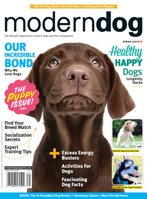 Gift a subscription to Modern Dog - Vimarsana News