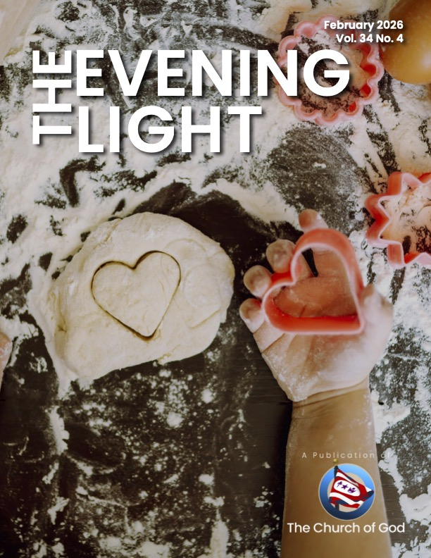The Evening Light Cover Image