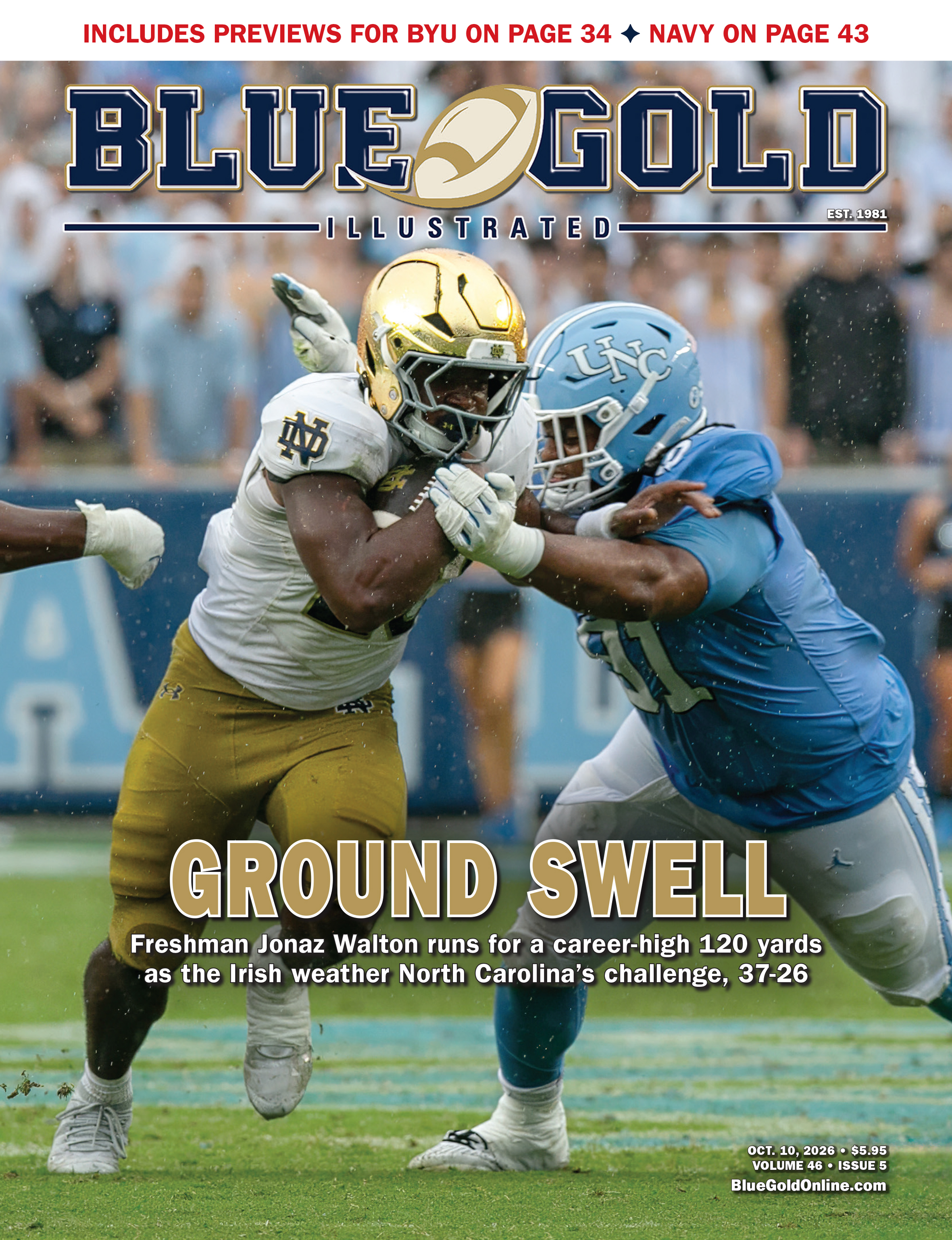 Blue & Gold Illustrated Cover Image