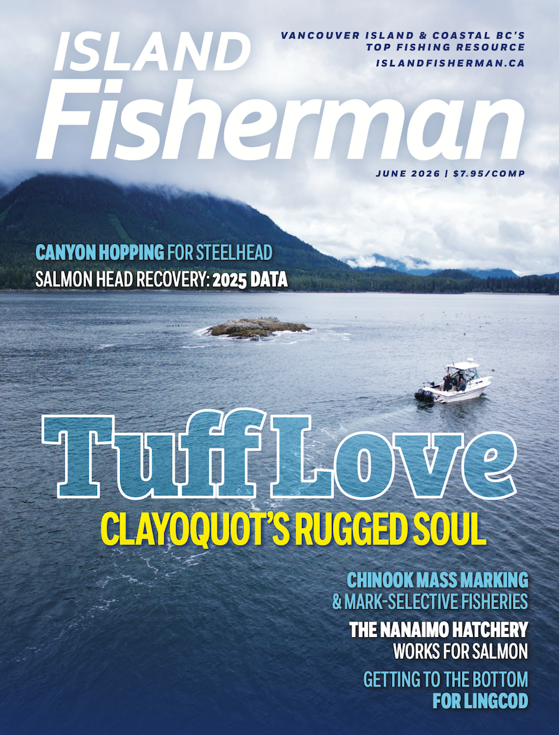 Island Fisherman Cover Image