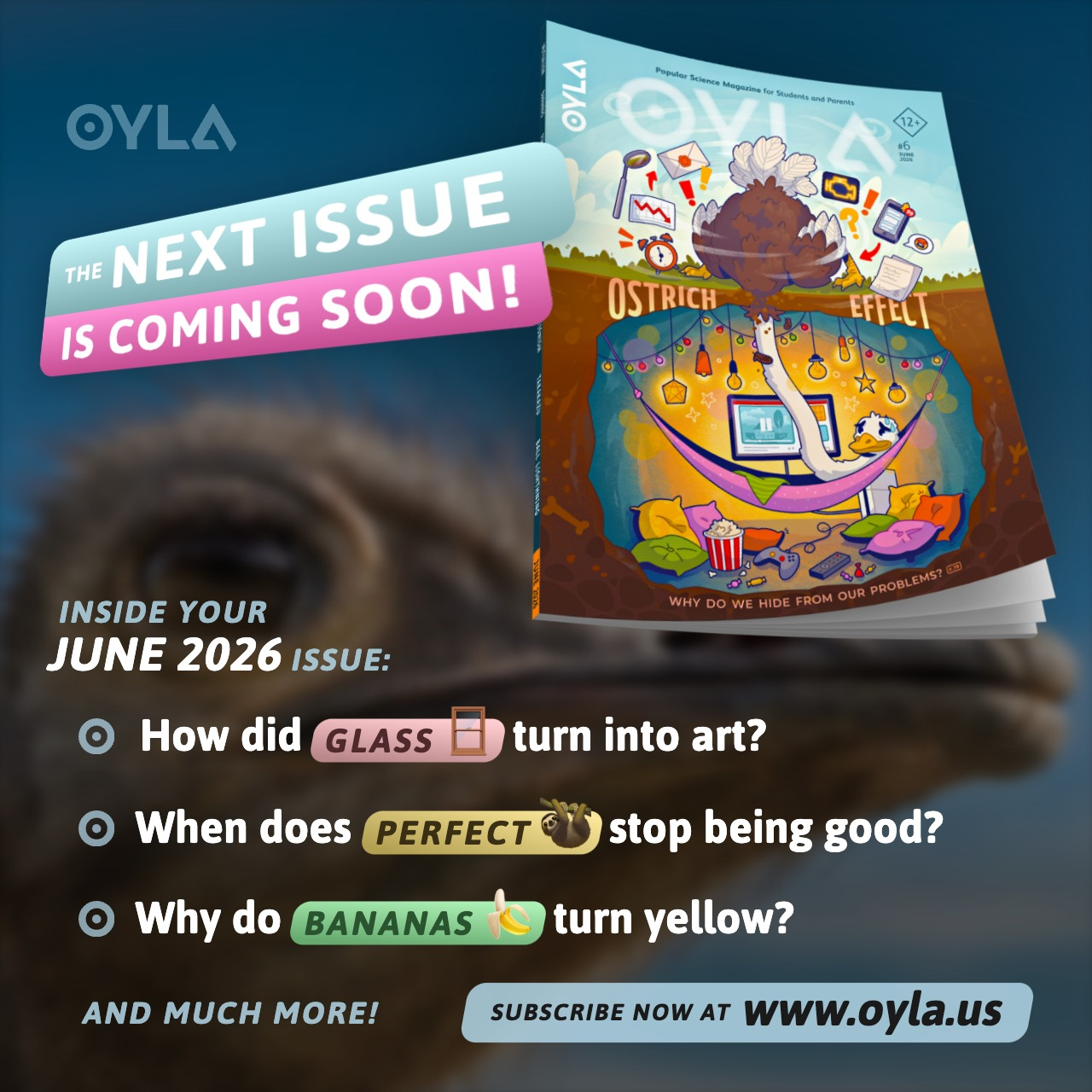 OYLA US (12+) Cover Image