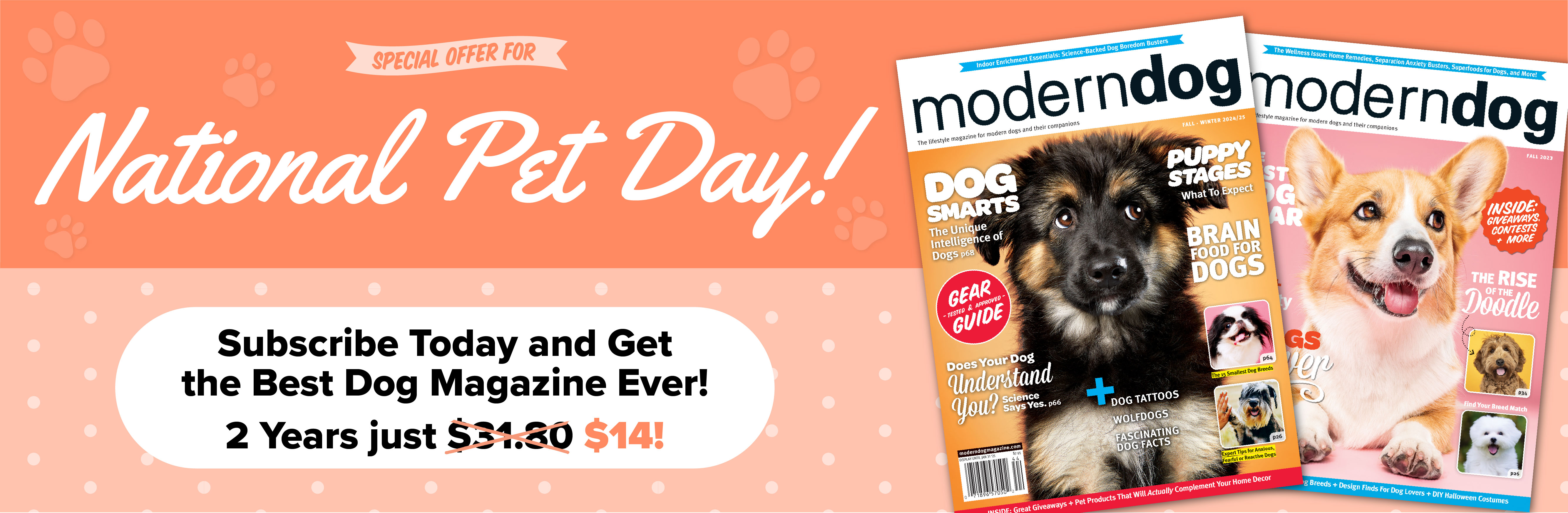 Modern Dog masthead