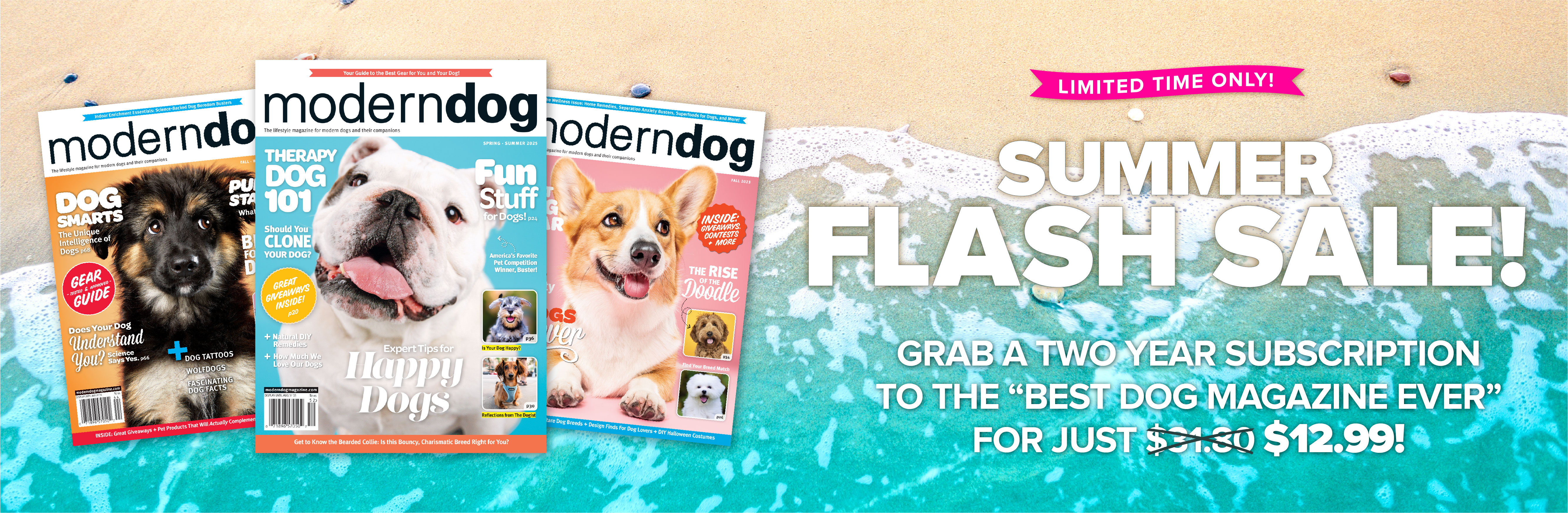 Modern Dog masthead