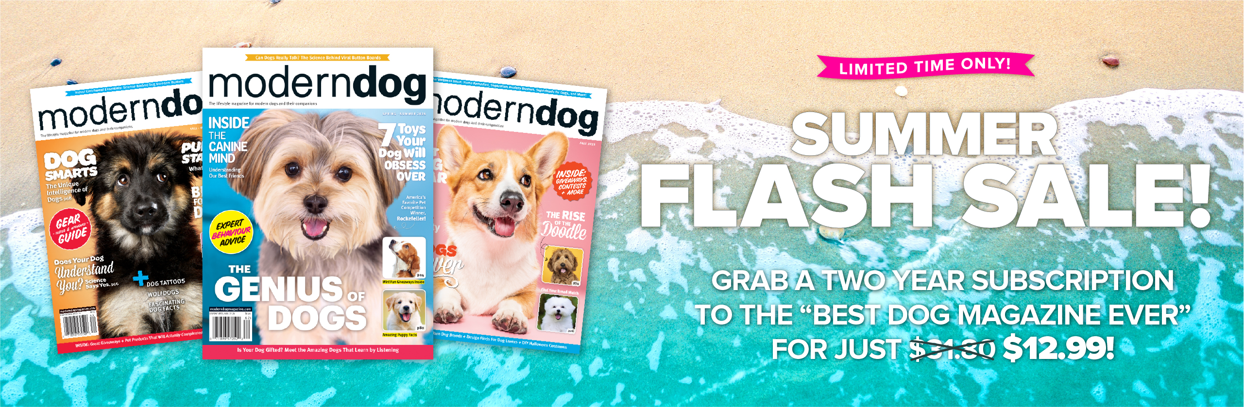 Modern Dog masthead