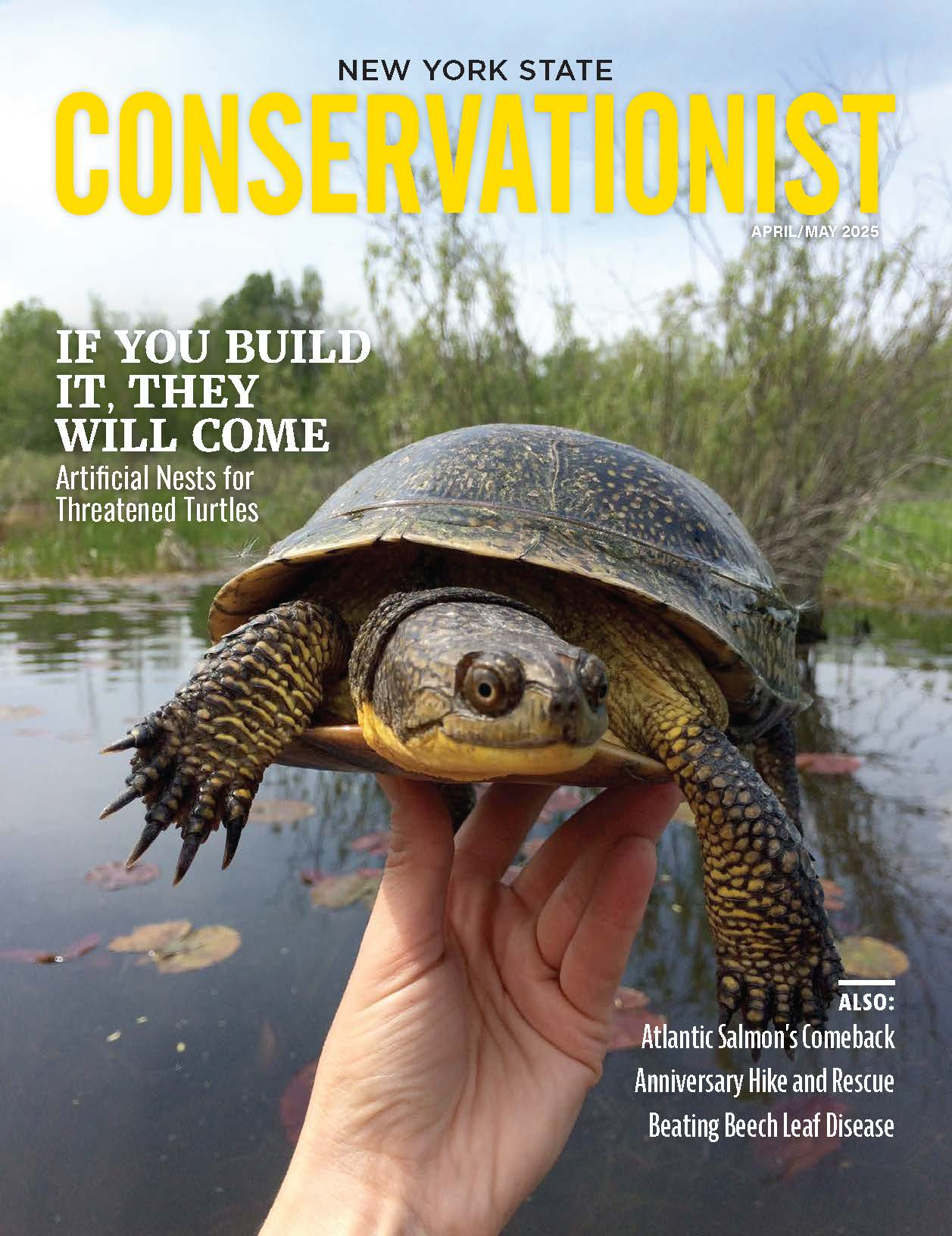 Conservationist Magazine