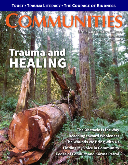 Communities #212 (Fall 2026) Trauma and Healing