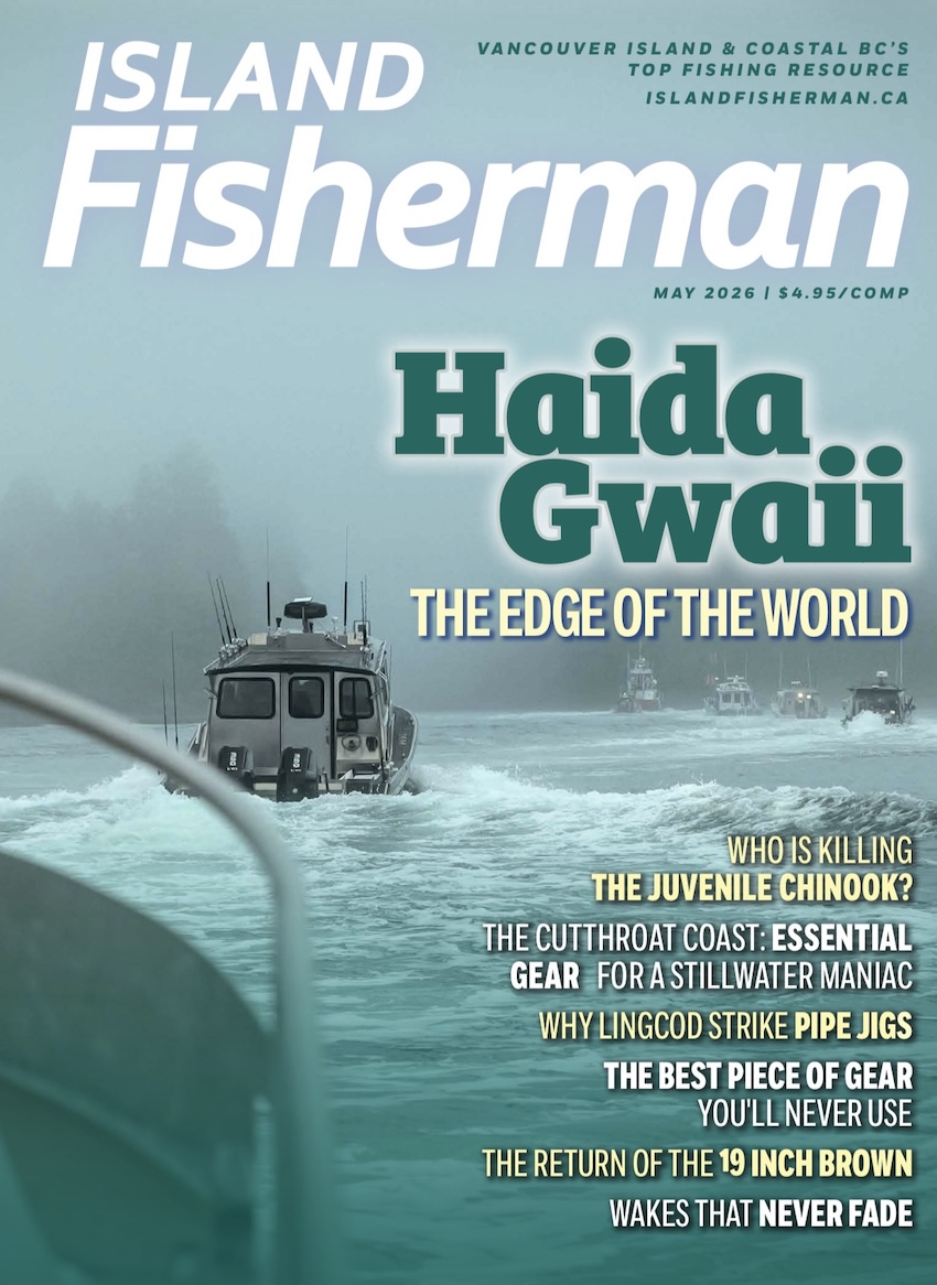 May 2026 IFM