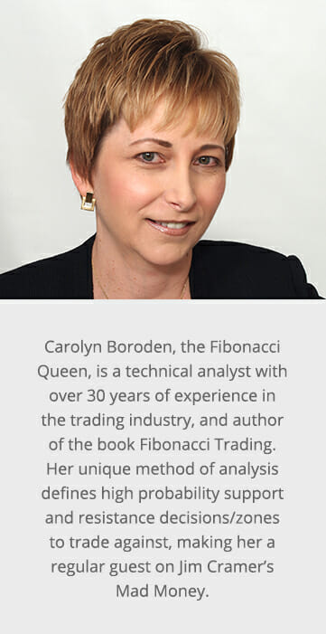 Carolyn Boroden Carolyn Boroden has over 30 years of