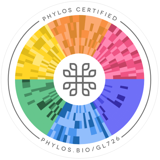 Vietnam Delat Phylos seal