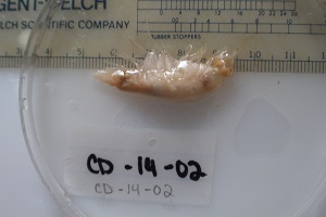 photo of catalog C12057