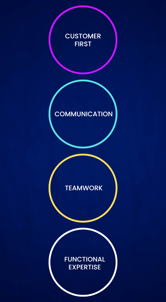 Inflatable Rental Safety Standards