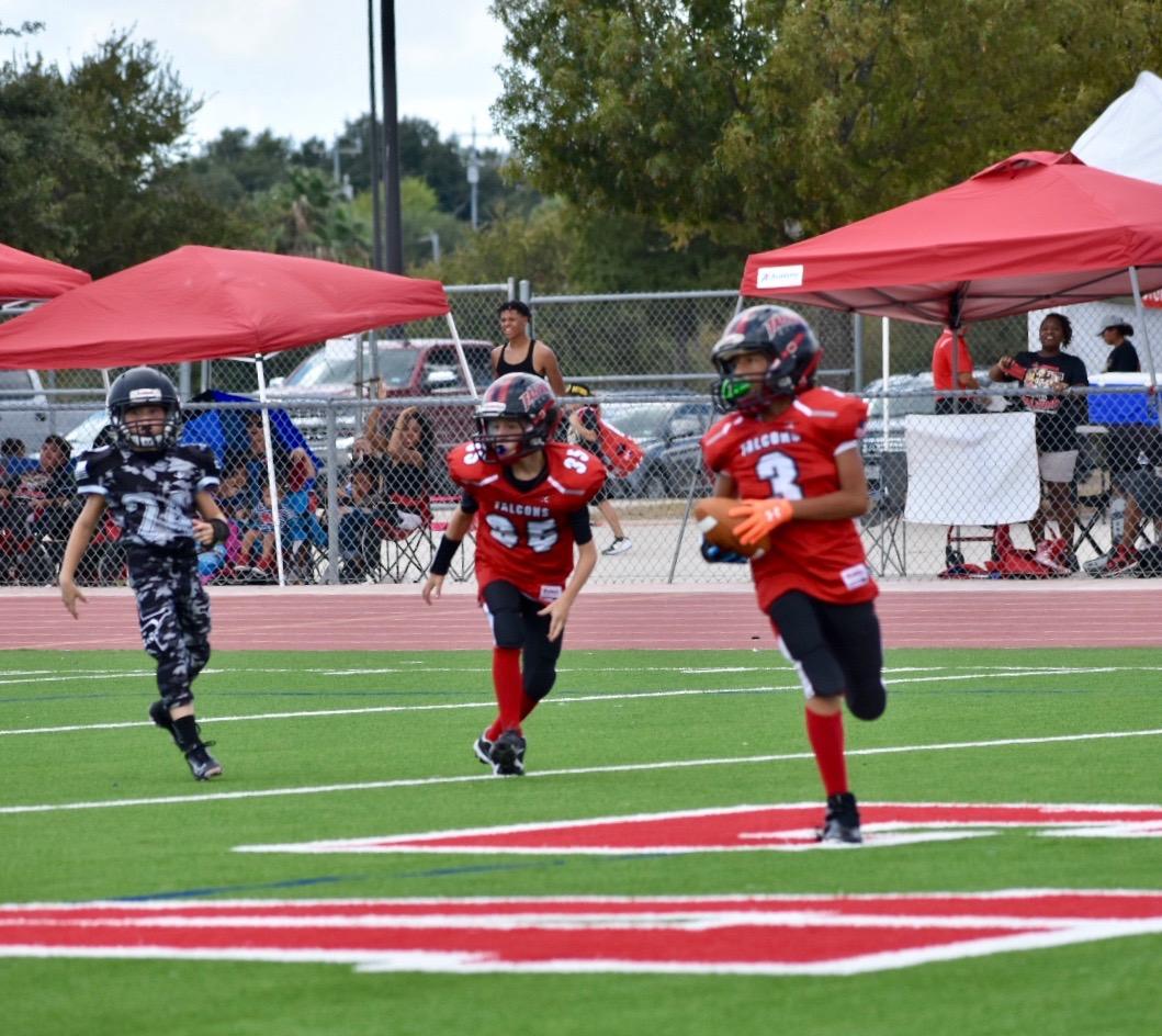 San Antonio Jr Falcons