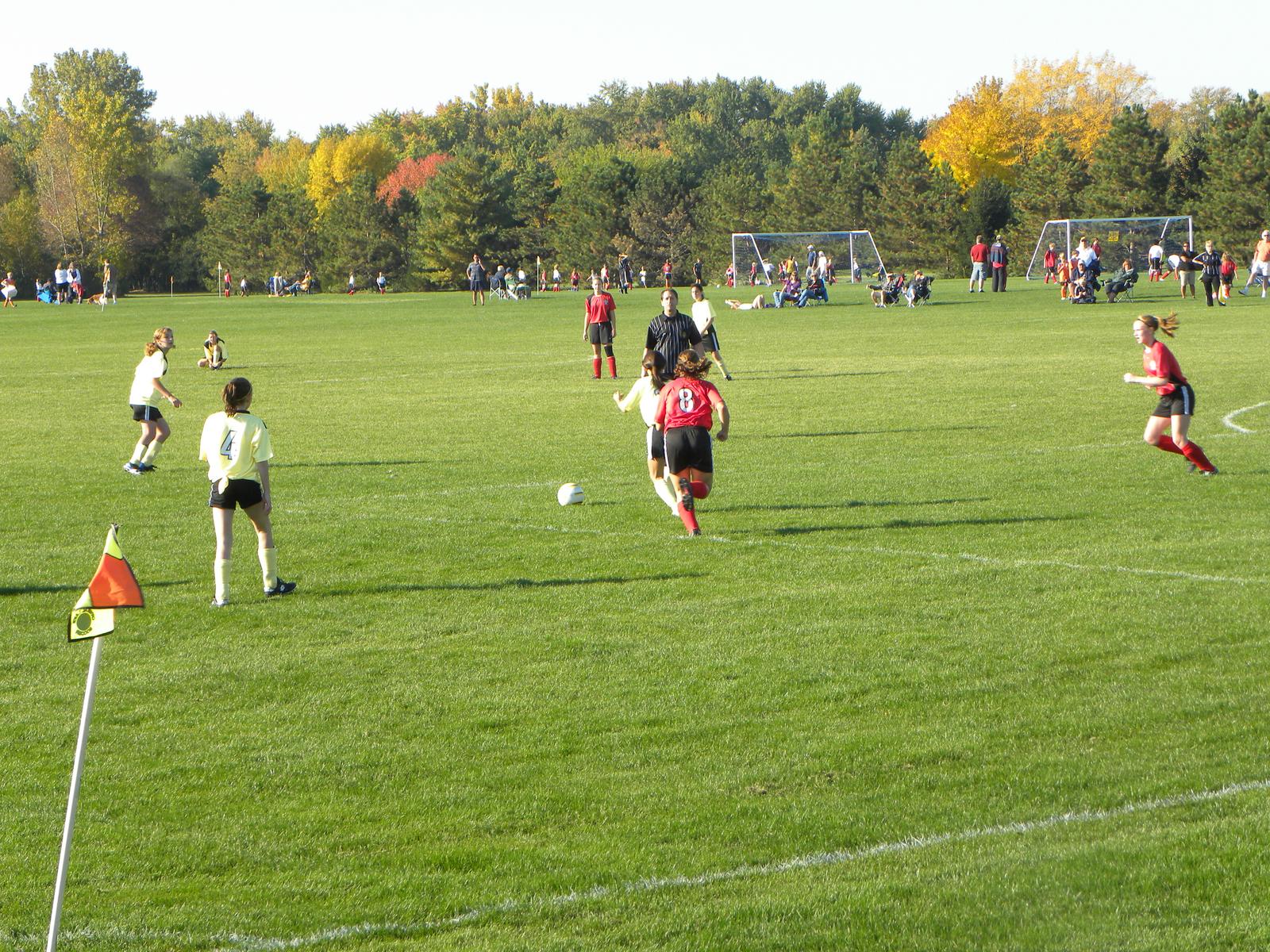 Crystal Lake Soccer Federation 60039002 > Site > Home