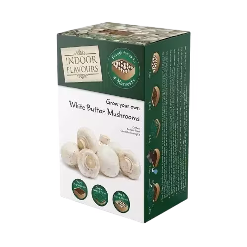 mushroompackaging