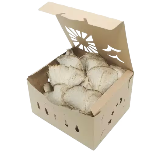 mushroompackaging