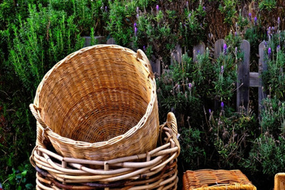 lavender, wooden, basket, garden, plants, gardening, spring, flowers