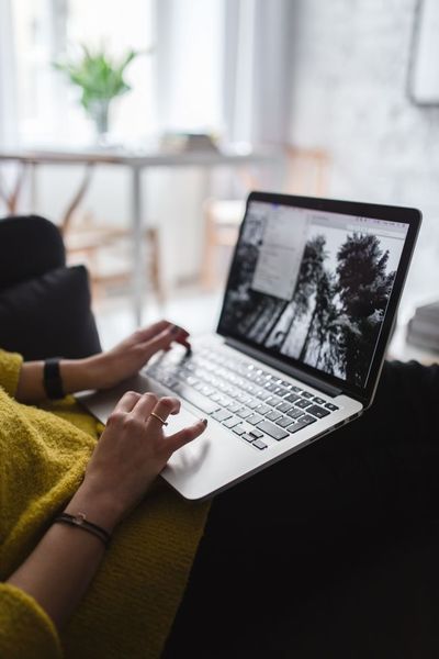 woman, girl, female, sofa, working, home, blogger, blog, blogging, laptop, website, typing