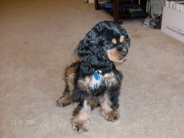 Lilah