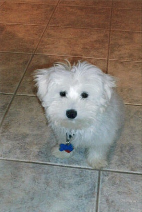 Casey