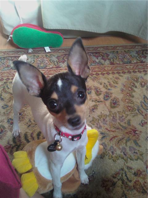 Buster