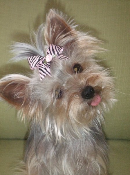 Roxy