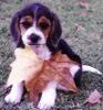 Lucy