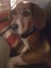 Charlie
