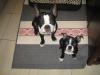 Bruce & Chester
