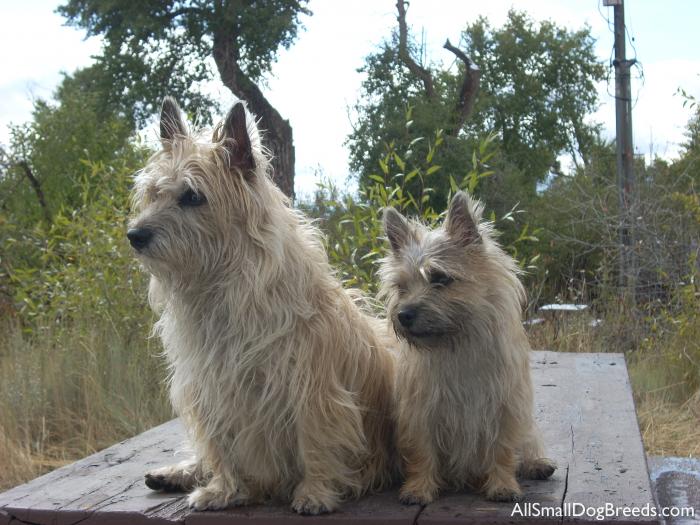 Sammi and Bonnie Belle