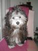 Mattie