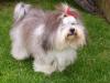 Amy