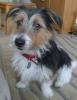 Eddie