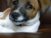 Charlie