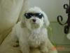 Jake
