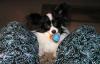 Abby