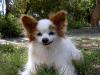 Casper