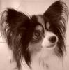 Annie