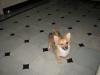snupy