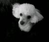 Micky