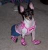 Mazie