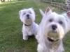 Chloe & Brodie