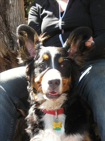 Sir Warrick