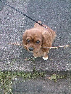 Rusty