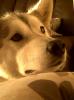 roxy