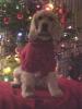 Murphy