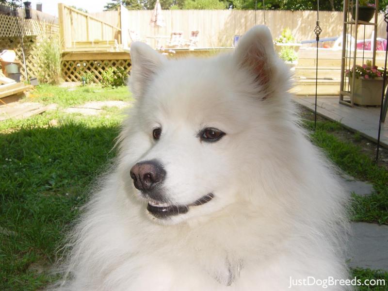 casper