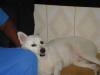 Baby
