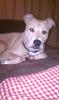 Roxy